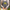 apron-mockup-featuring-a-woman-cooking-an-italian-dish-m7312-r-el2 (1)