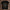 holz Flatlay mockup schwarz