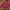 119