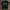 holz Flatlay mockup schwarz