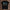 holz Flatlay mockup schwarz