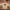 125