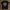 holz Flatlay mockup schwarz
