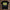 holz Flatlay mockup schwarz