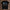 holz Flatlay mockup schwarz
