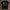 holz Flatlay mockup schwarz