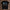 holz Flatlay mockup schwarz
