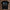 holz Flatlay mockup schwarz