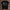 holz Flatlay mockup schwarz